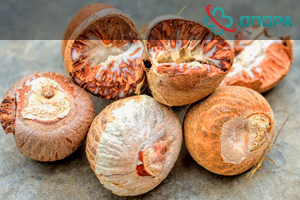 Бинлан: как и почему бетельный орех стал угрозой для российских школьников