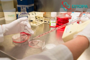 Тест на мефедрон: Полное руководство